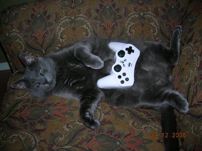 Crystal's cat on its back with a game controller on his belly
